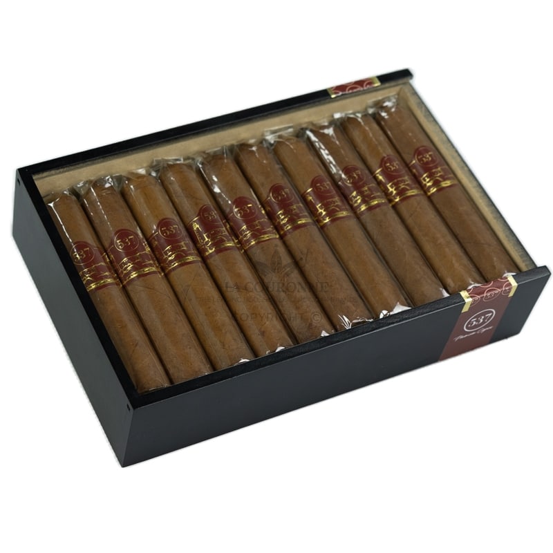 Cigares 537 Short Canonazo (20)