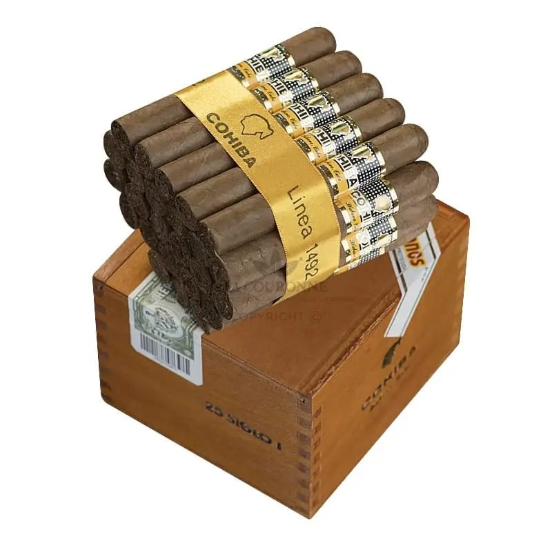 Cohiba Siglo 1 SLB (25)