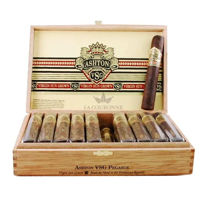Ashton VSG Pegasus (20)