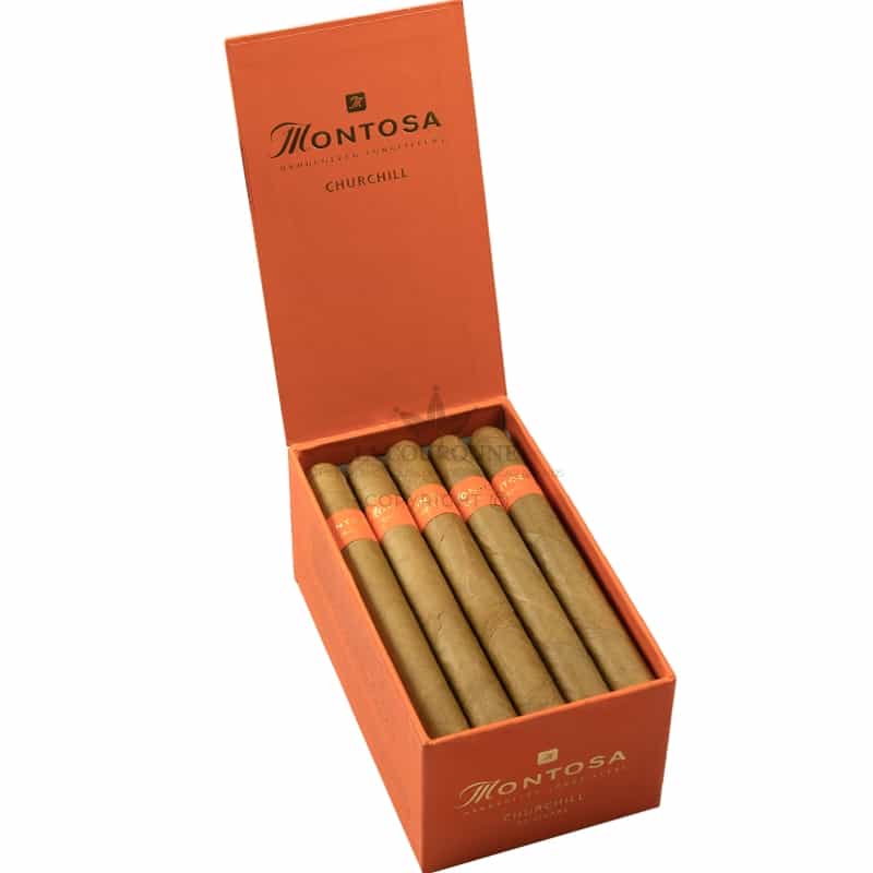 Montosa Churchill (20)