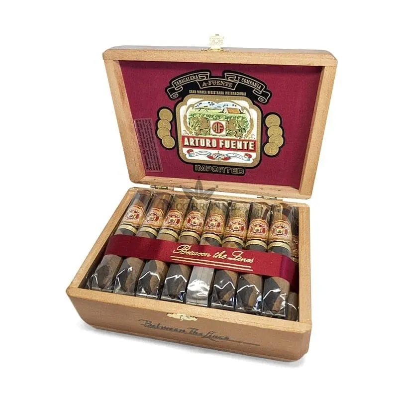 Arturo Fuente Hemingway Between the Lines (25)