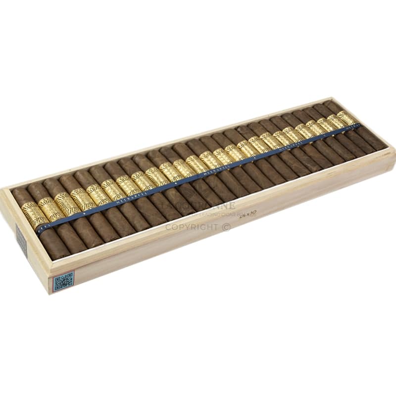 Meerapfel Meir Robusto (25)