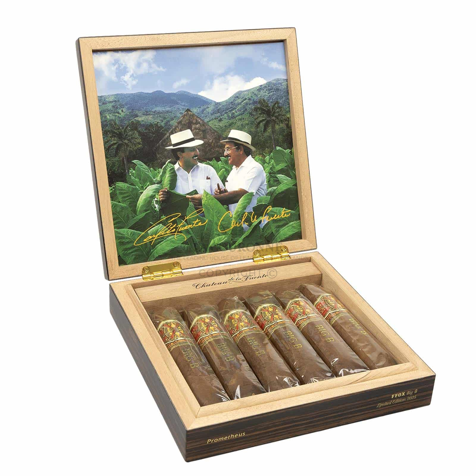 Arturo Fuente FFOX Serie Heaven & Earth Big B (6)