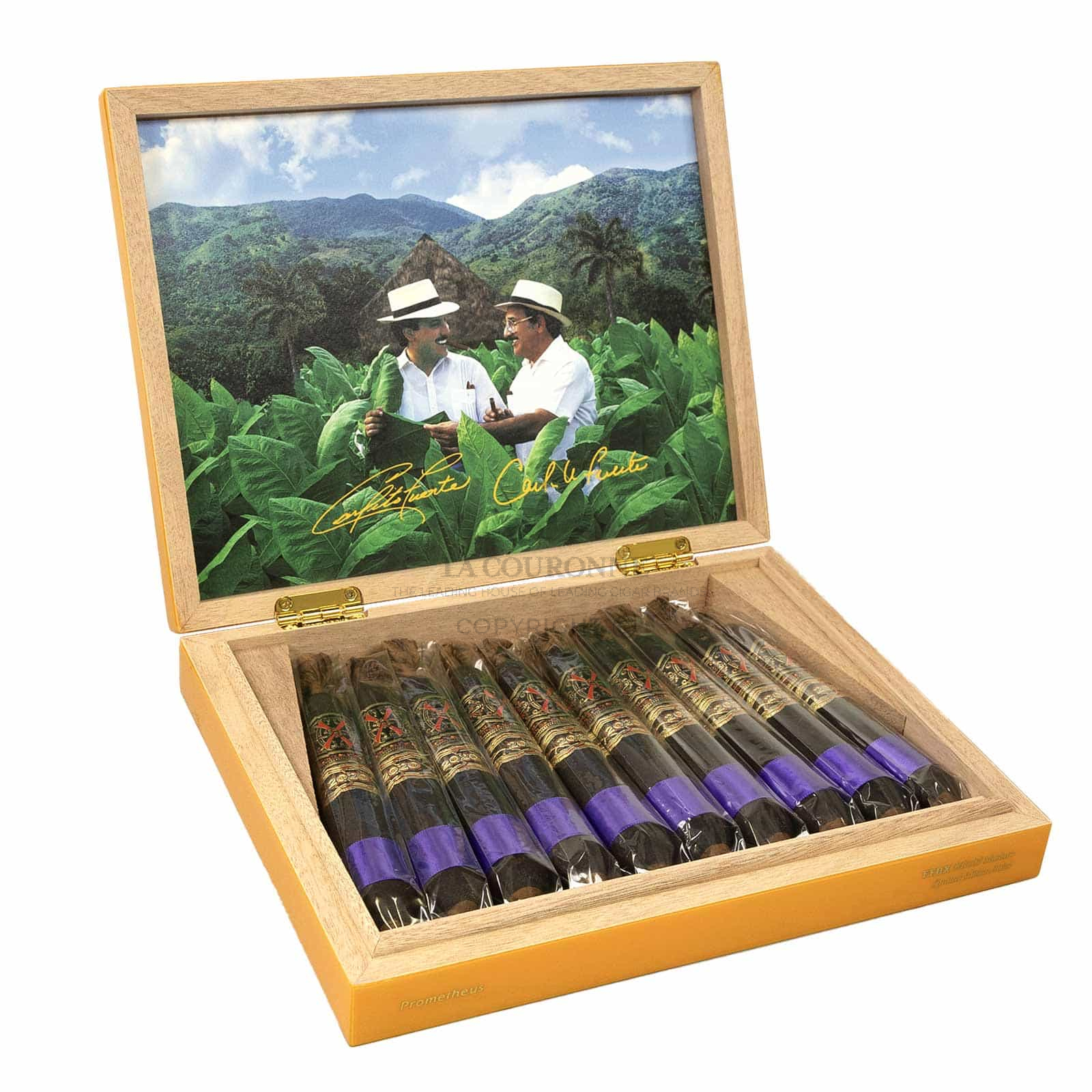 Arturo Fuente FFOX Serie Heaven & Earth BBMF Maduro (10)