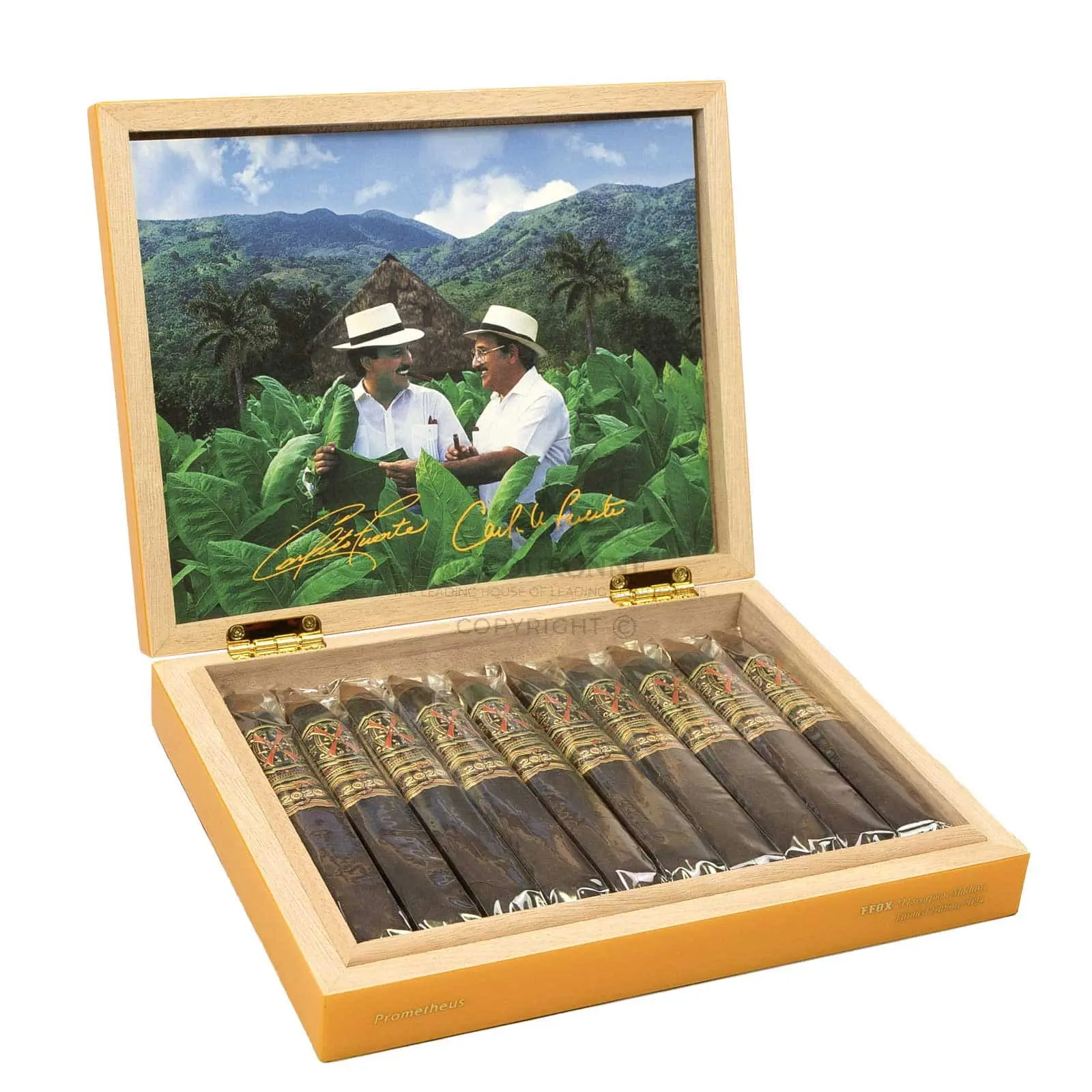 Arturo Fuente FFOX Serie Heaven & Earth El Escorpion Maduro (10)