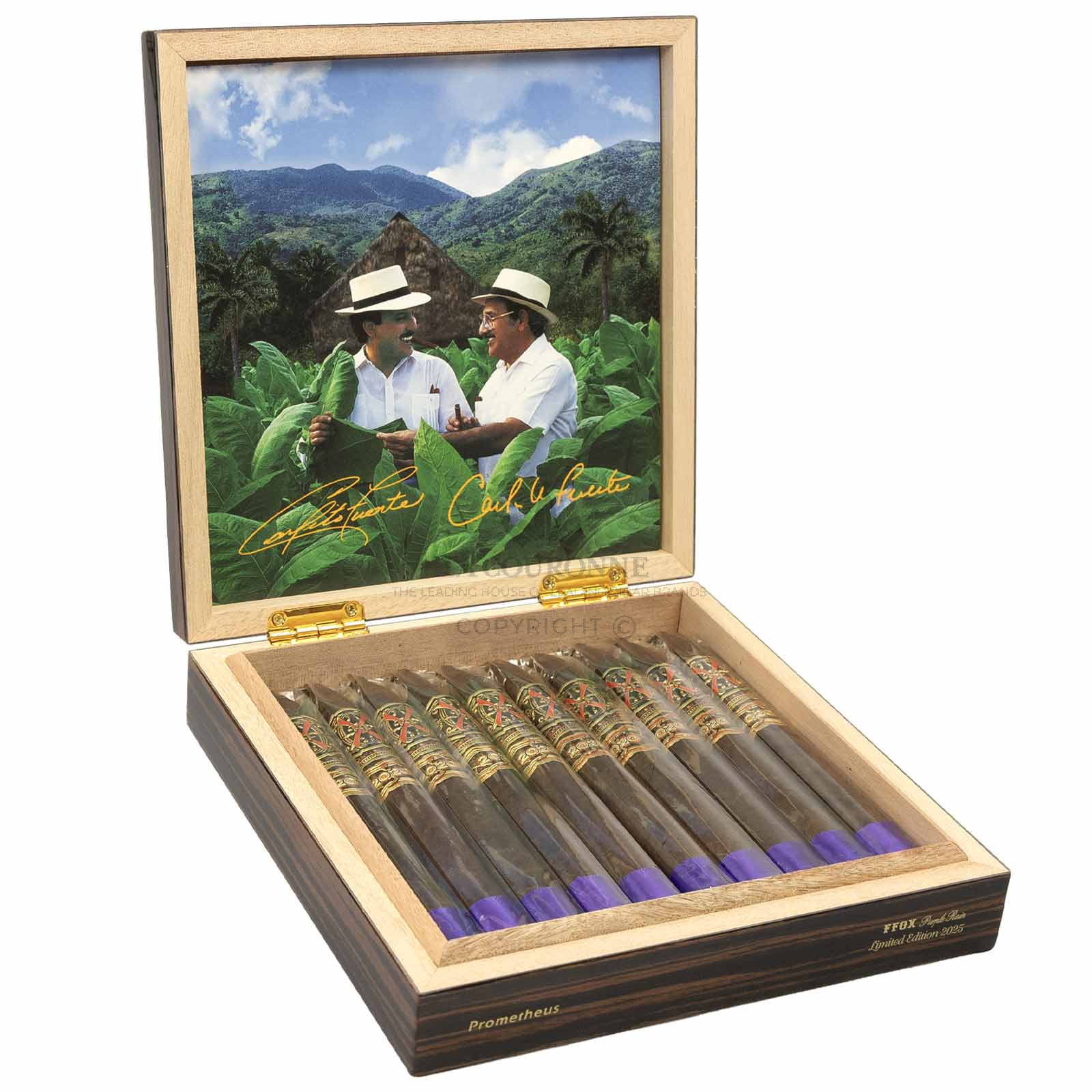 Arturo Fuente FFOX Serie Heaven & Earth Purple Rain (10)