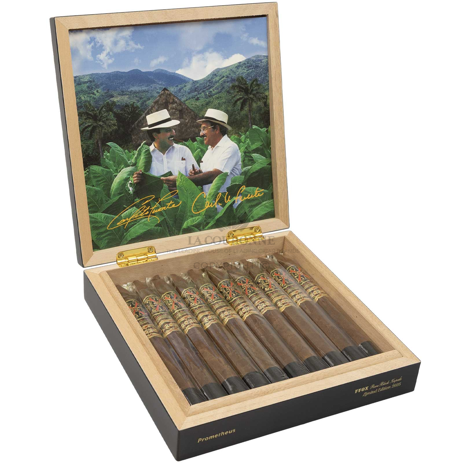 Arturo Fuente FFOX Serie Heaven & Earth Rare Black Torpedo (10)