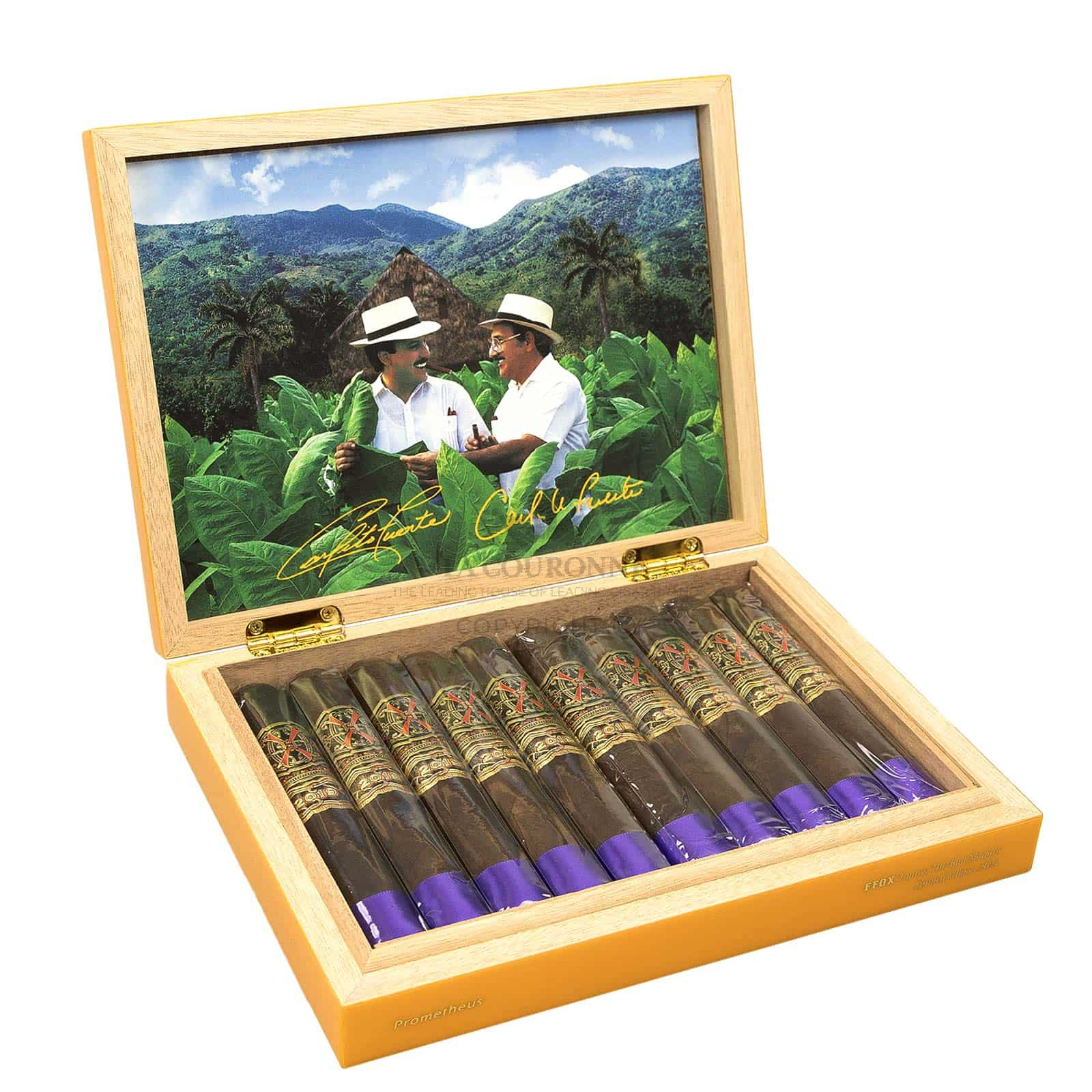Arturo Fuente FFOX Serie Heaven & Earth Tauros the Bull Maduro (10)