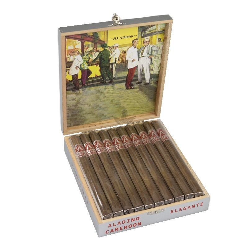 Aladino Cameroon Elegante (20)