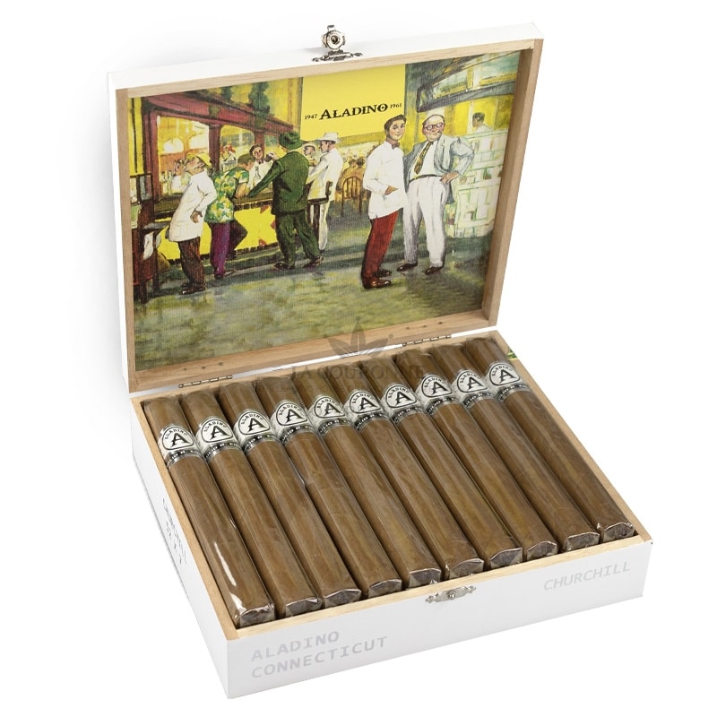Aladino Connecticut Churchill (20)