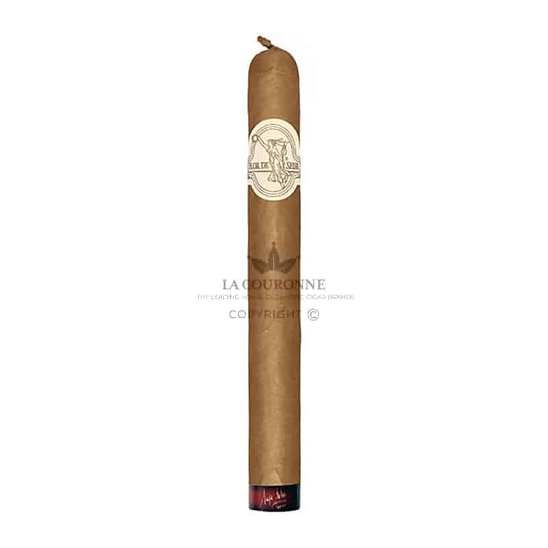 Flor de Selva Fino Semanario (7)