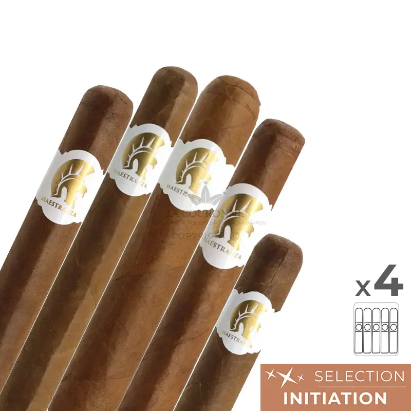 Pack découverte cigares Maestranza (5×4)