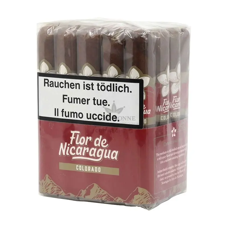 Flor de Nicaragua Bundle Robusto (20)