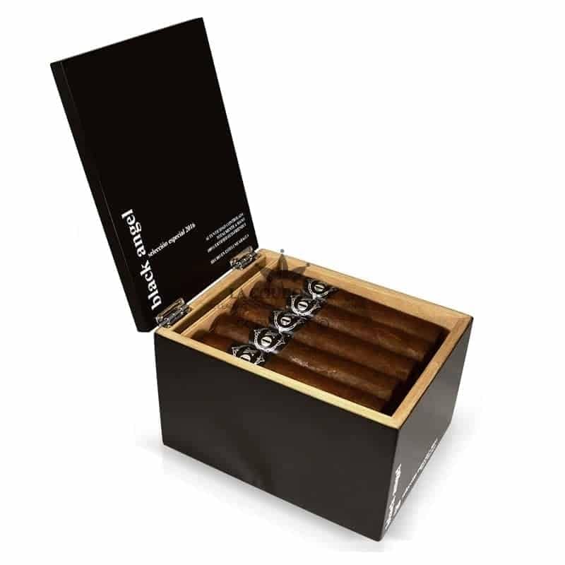 OX Black Angel (12)