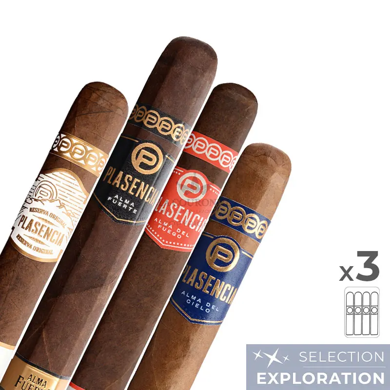 Pack découverte cigares Plasencia (4×3)